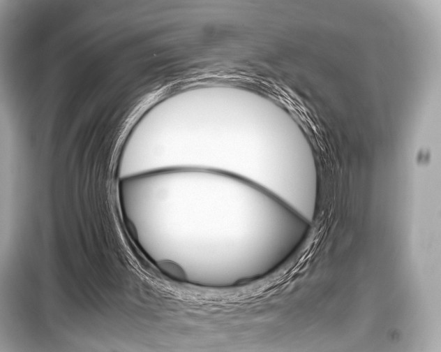X0000099550003200805160737