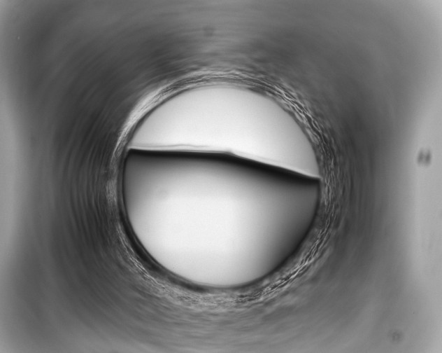 X0000099550004200805160737