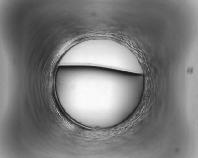 X0000099550005200805160737