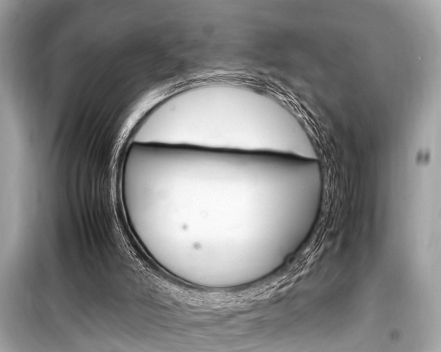 X0000099550006200805160737
