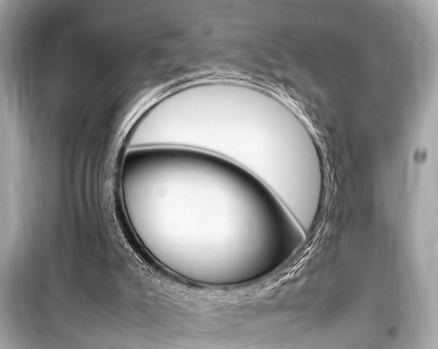 X0000099550007200805160737