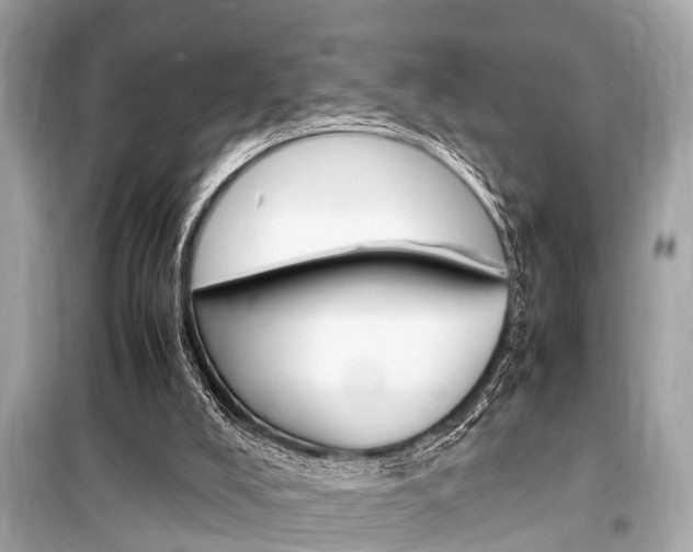 X0000099550008200805160737