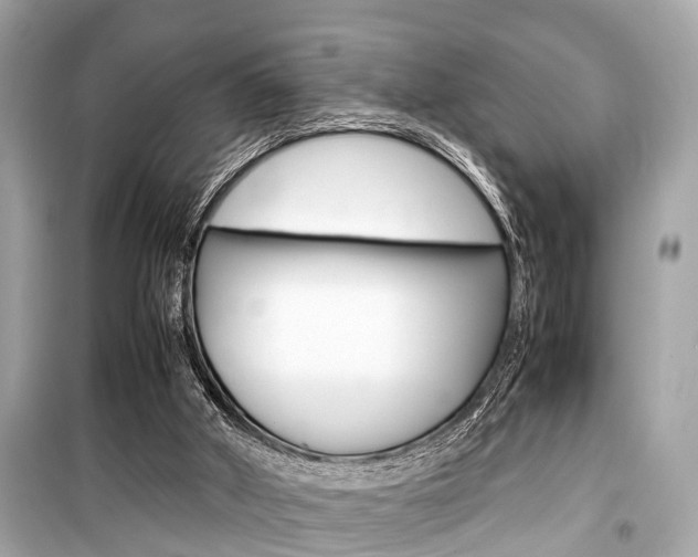 X0000099550010200805160737