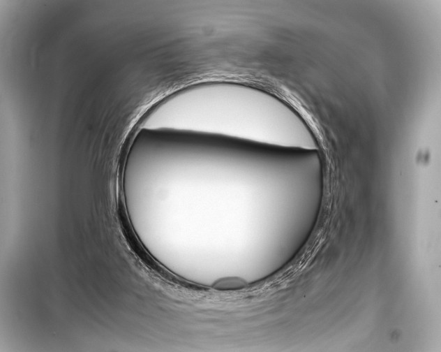 X0000099550011200805160737