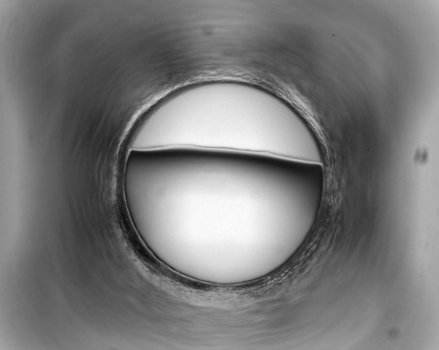 X0000099550012200805160737