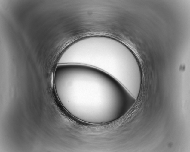 X0000099550013200805160737