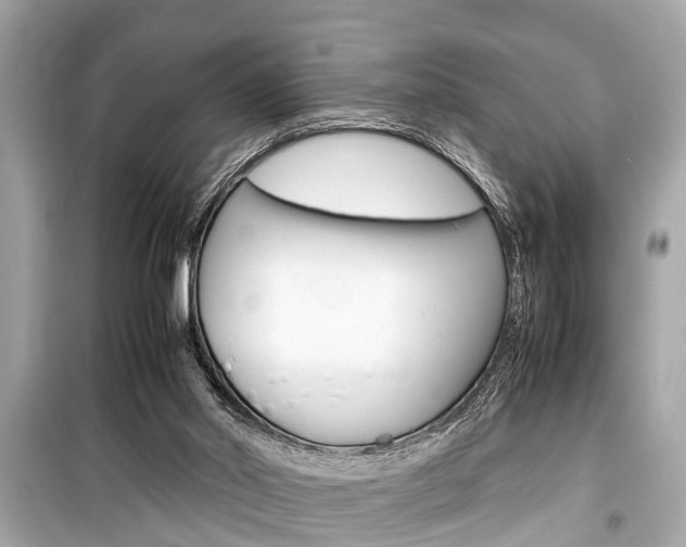 X0000099550014200805160737