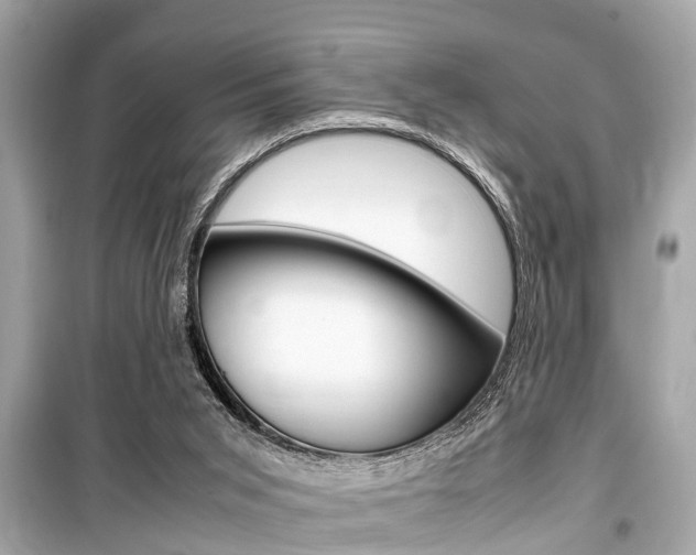 X0000099550015200805160737