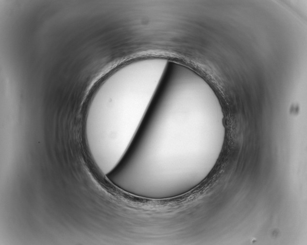 X0000099550016200805160737