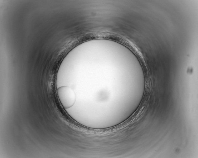 X0000099550018200805160737