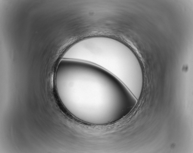 X0000099550019200805160737