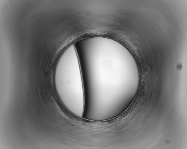 X0000099550020200805160737