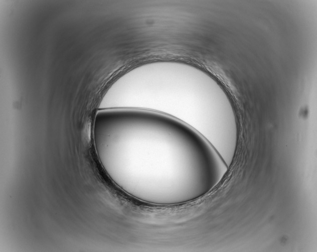 X0000099550021200805160737