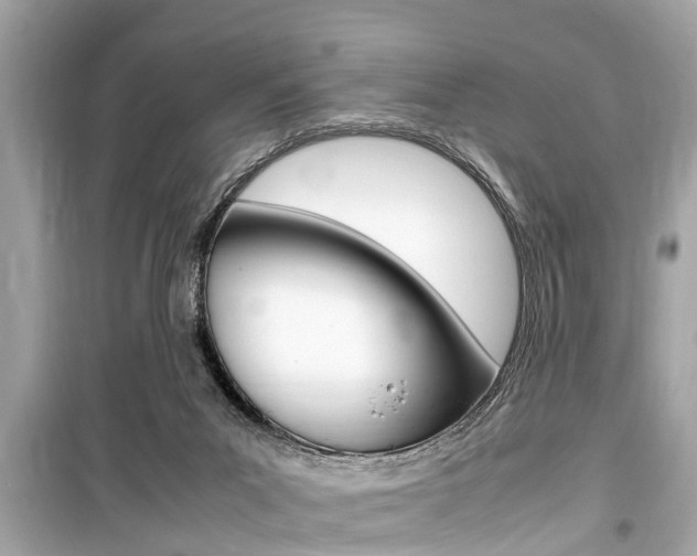X0000099550023200805160737