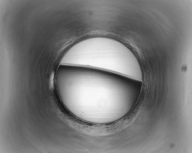 X0000099550024200805160737