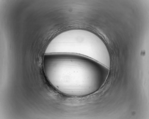 X0000099550025200805160737