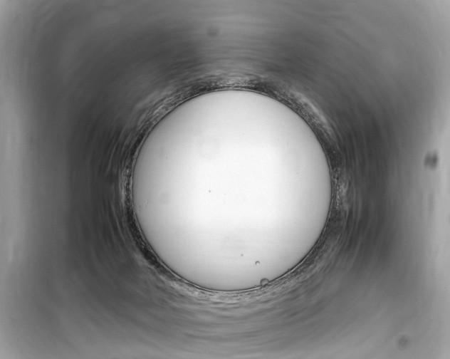 X0000099550026200805160737