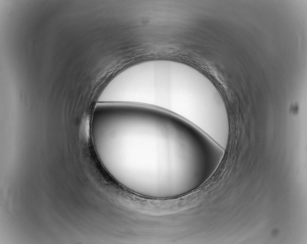 X0000099550027200805160737