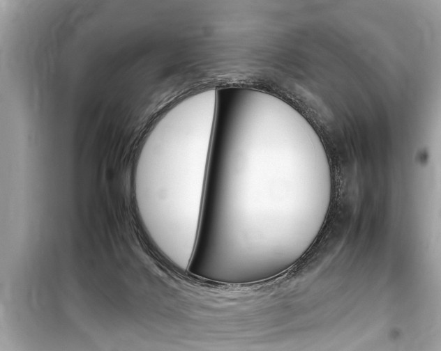 X0000099550028200805160737