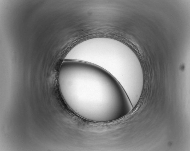 X0000099550029200805160737
