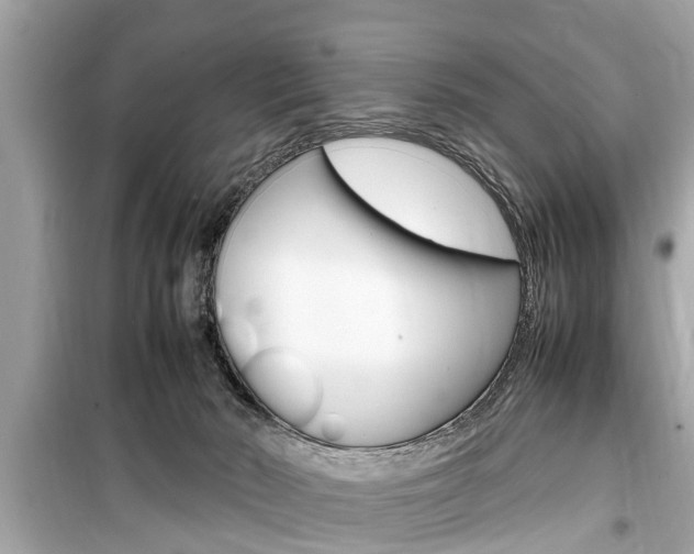 X0000099550030200805160737