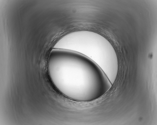 X0000099550031200805160737