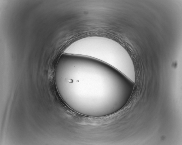 X0000099550033200805160737