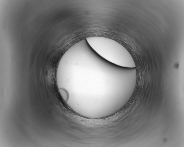 X0000099550034200805160737