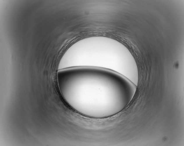 X0000099550035200805160737