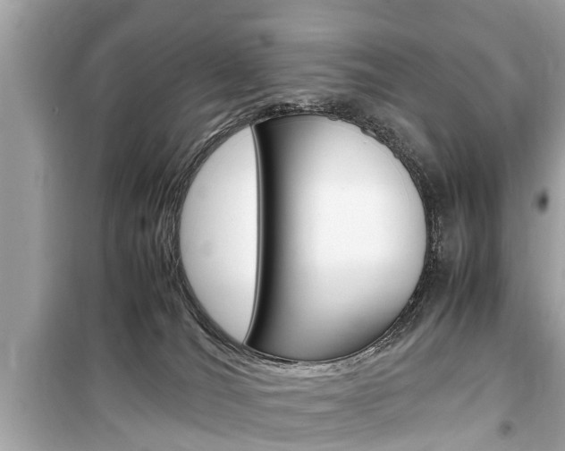 X0000099550036200805160737