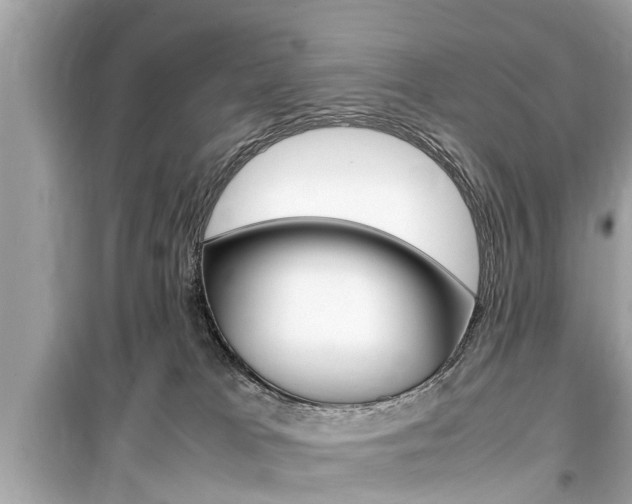 X0000099550037200805160737
