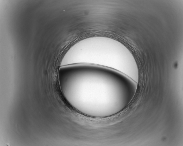 X0000099550039200805160737