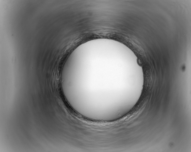 X0000099550040200805160737