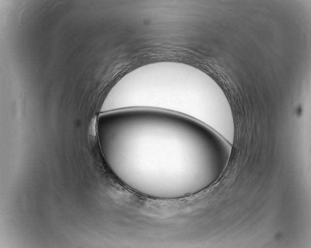 X0000099550041200805160737