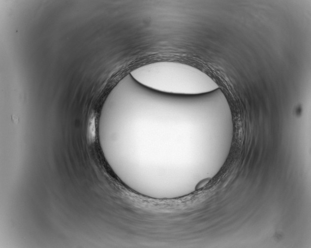 X0000099550042200805160737