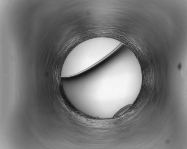 X0000099550044200805160737