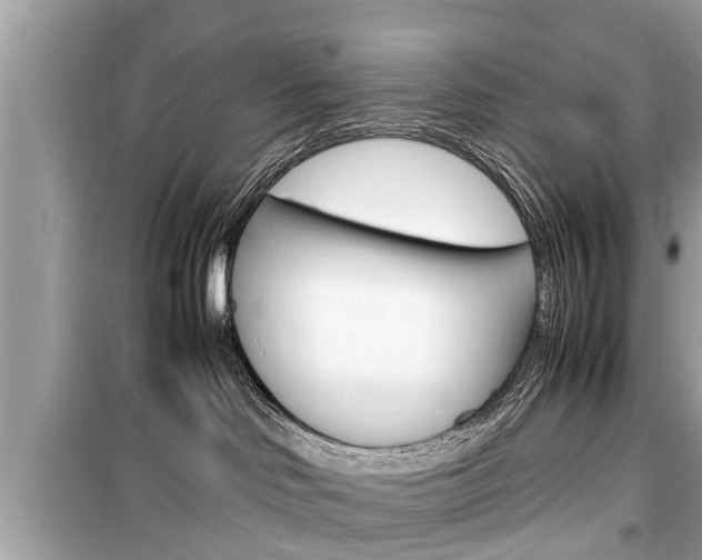 X0000099550046200805160737