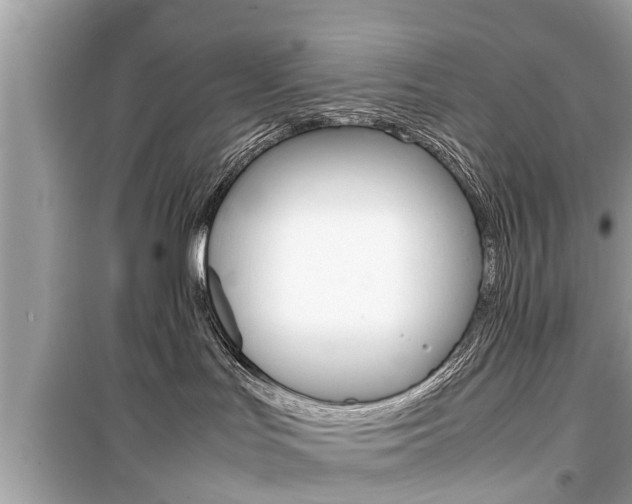 X0000099550047200805160737
