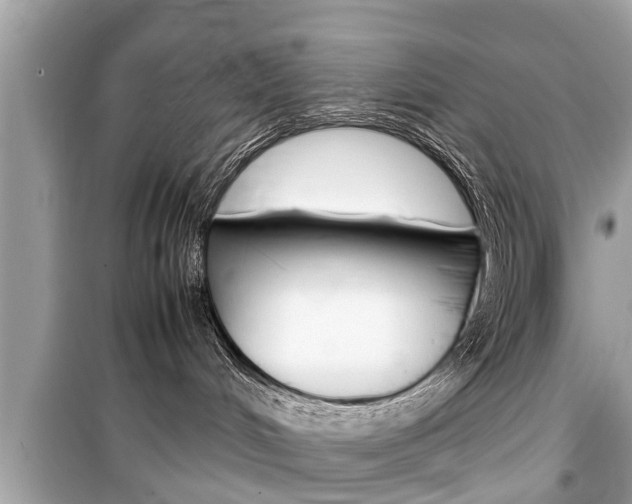 X0000099550048200805160737