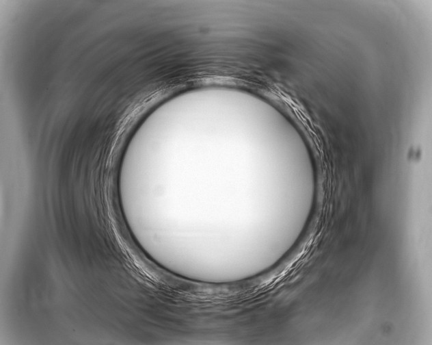 X0000099550049200805160736