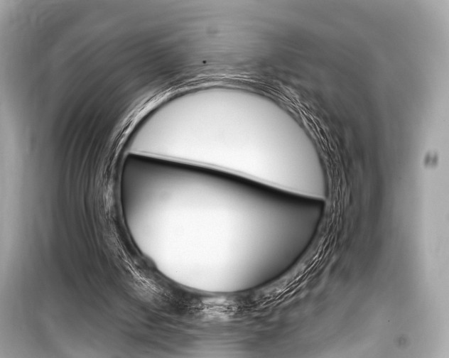 X0000099550050200805160736