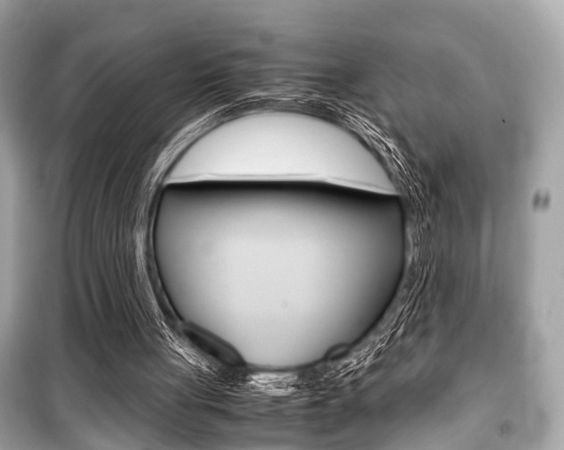 X0000099550051200805160736