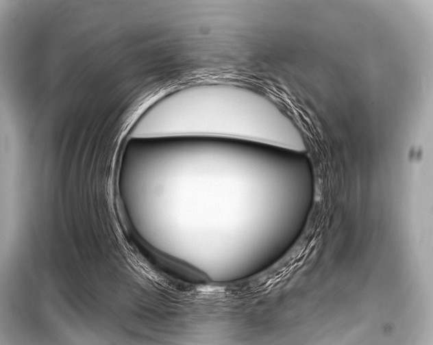X0000099550052200805160736