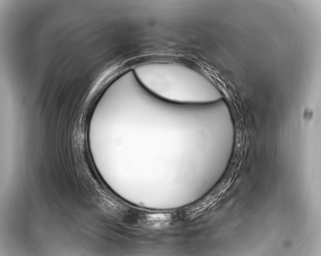 X0000099550053200805160736