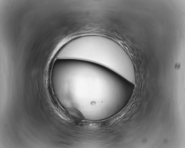 X0000099550056200805160736