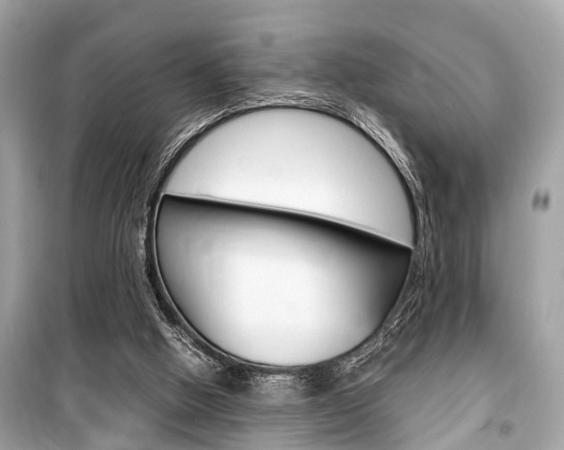 X0000099550058200805160736