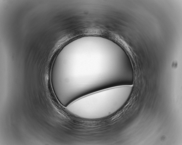 X0000099550059200805160736