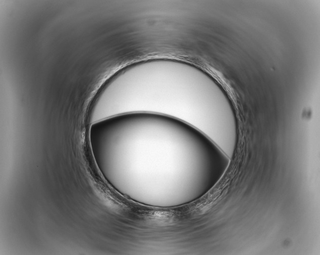 X0000099550060200805160736