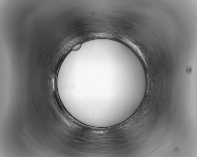 X0000099550061200805160736
