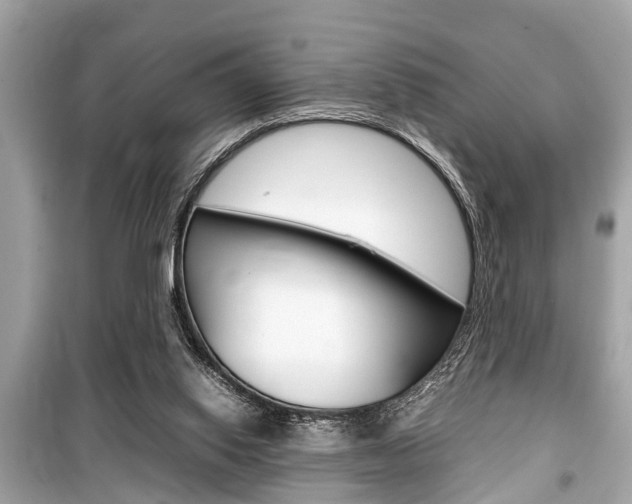 X0000099550062200805160736